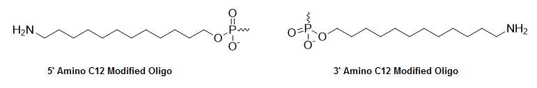 Bio-Synthesis Inc. Oligo Structure